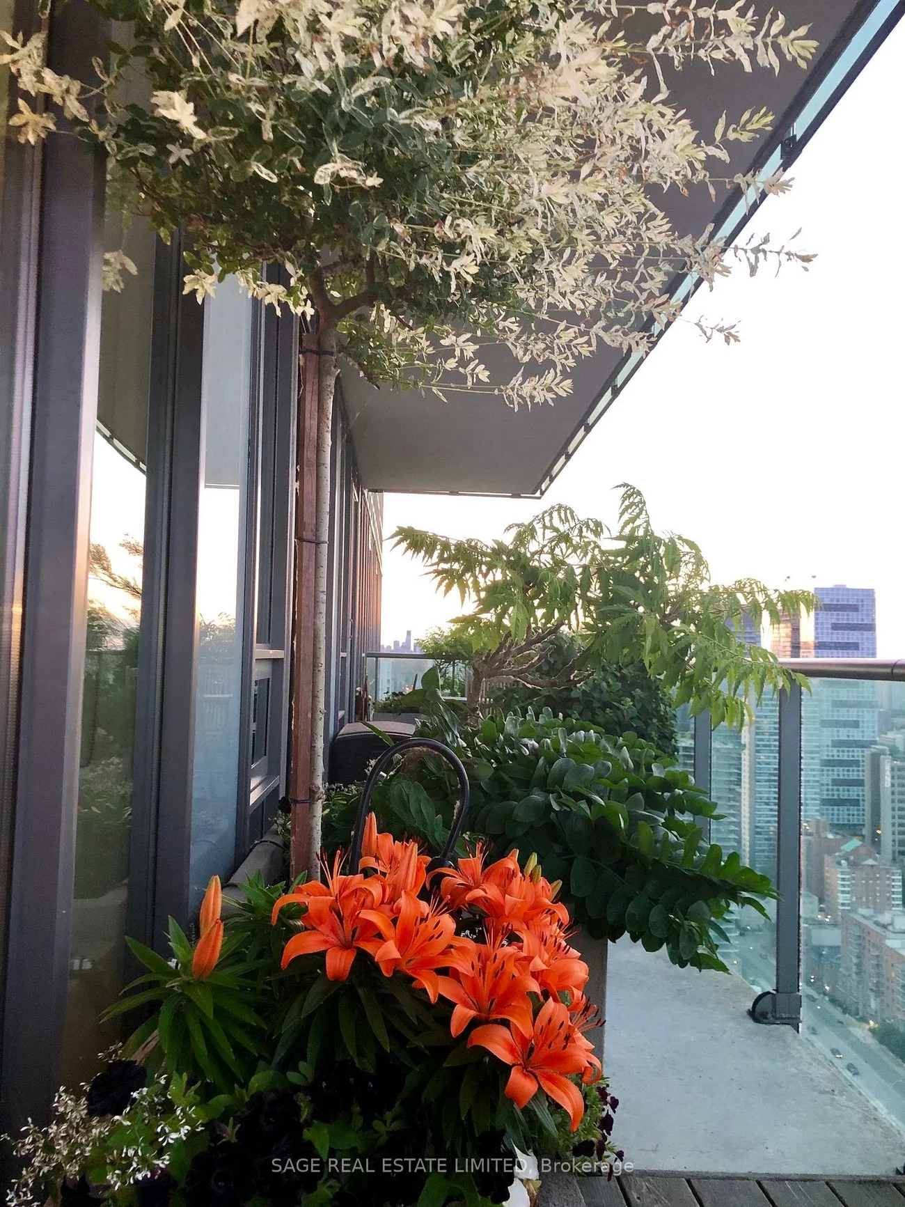 33, Lombard, Church-Yonge Corridor, Toronto