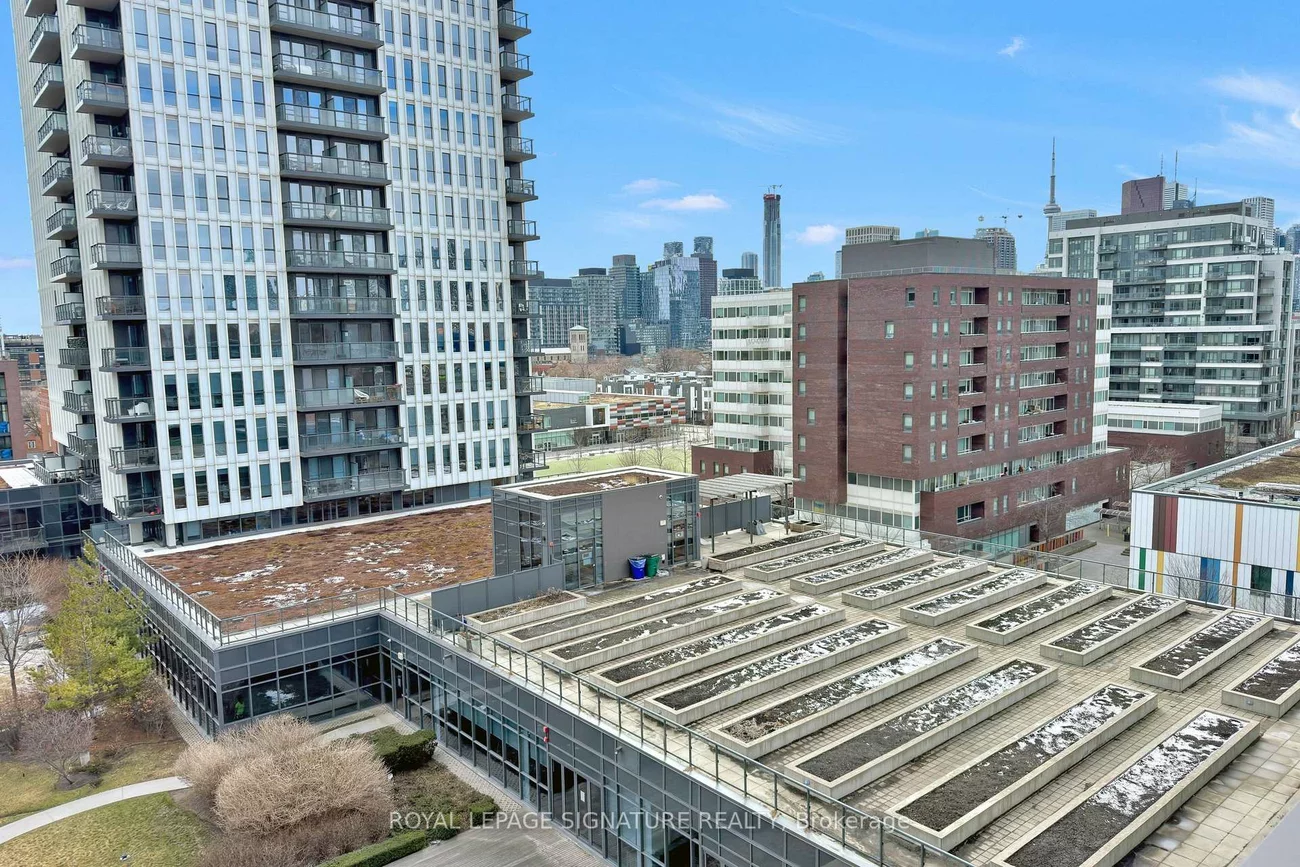 170, Sumach, Regent Park, Toronto