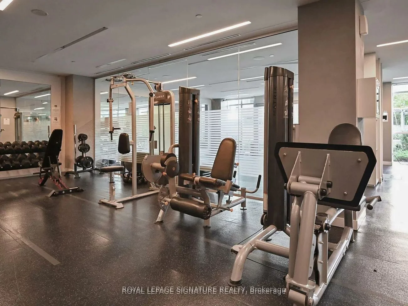 170, Sumach, Regent Park, Toronto