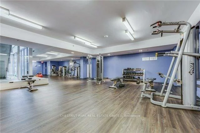 36, Lisgar, Little Portugal, Toronto