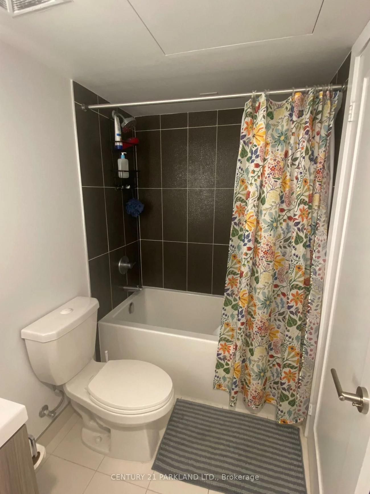 50, McCaul, Kensington-Chinatown, Toronto