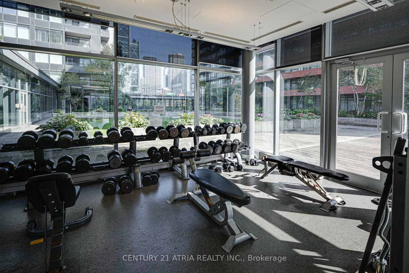 4K, Spadina, Waterfront Communities C1, Toronto