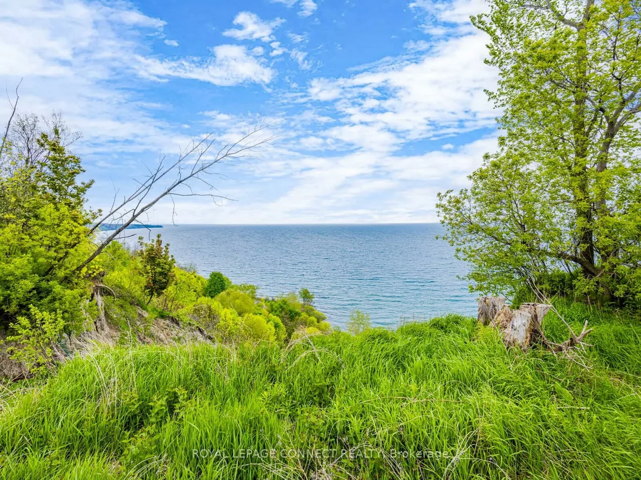 28, Livingston, Guildwood, Toronto