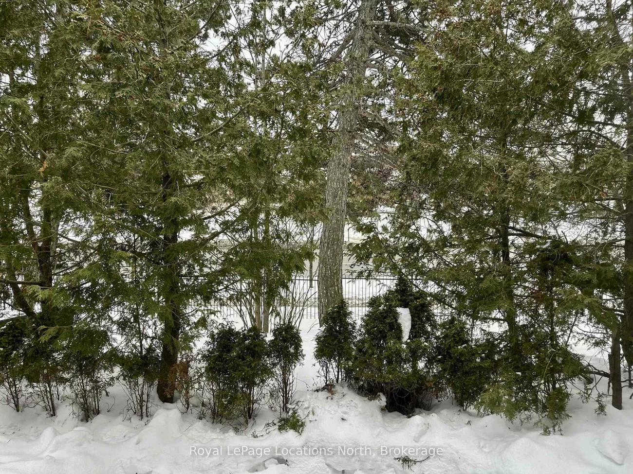 431, Military Trail, Morningside, Toronto