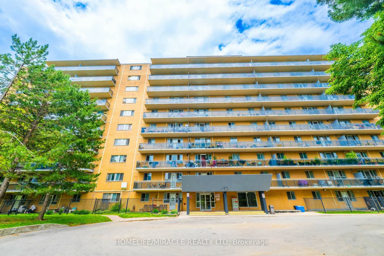 100, Dundalk, Dorset Park, Toronto