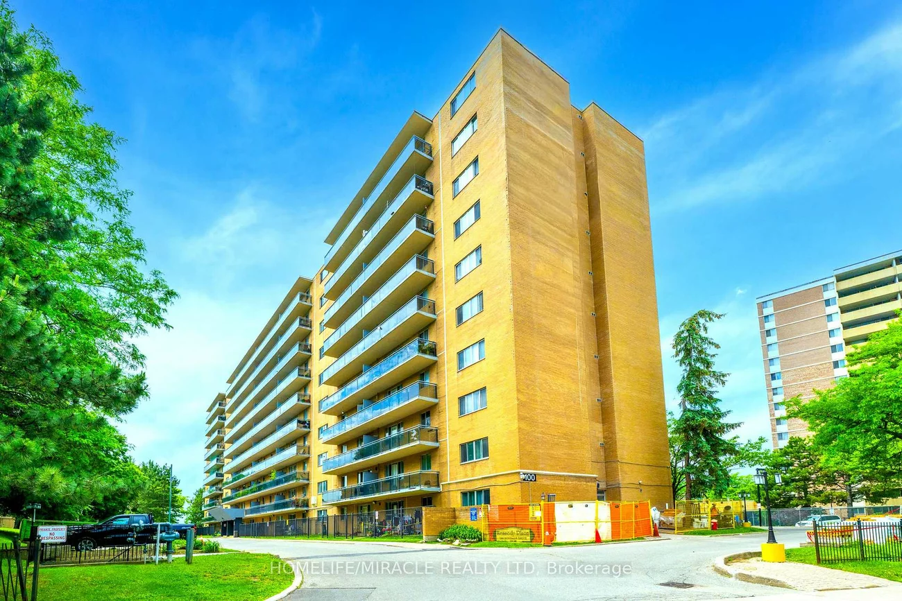 100, Dundalk, Dorset Park, Toronto