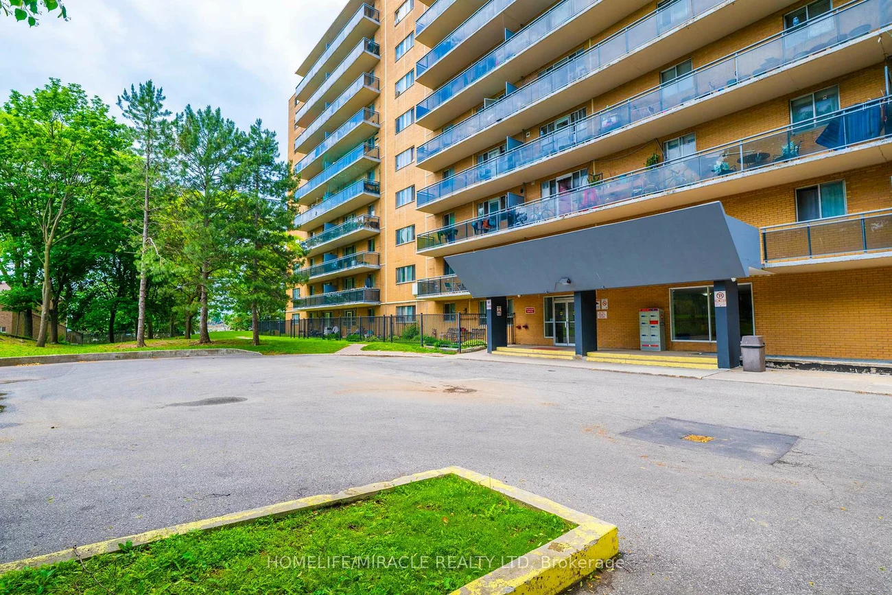 100, Dundalk, Dorset Park, Toronto