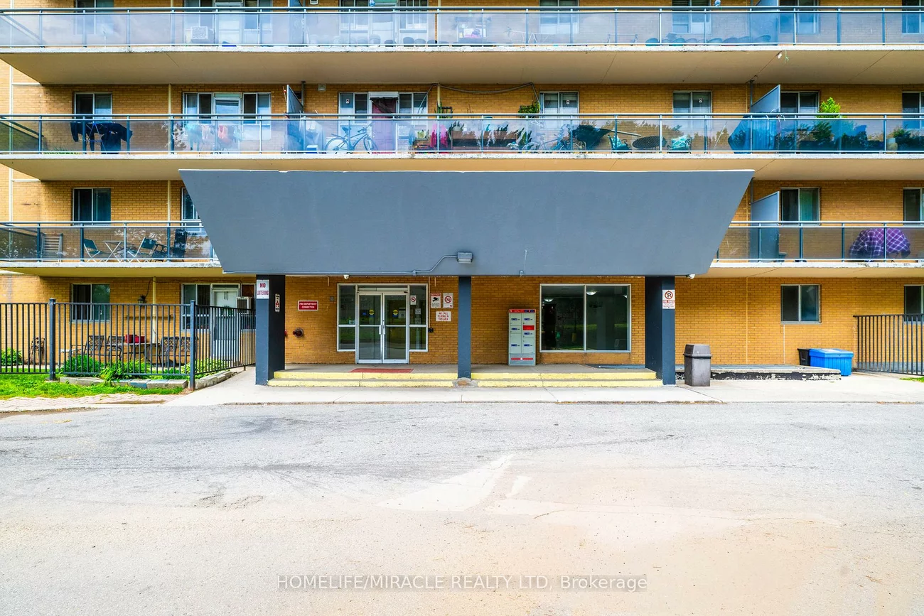 100, Dundalk, Dorset Park, Toronto