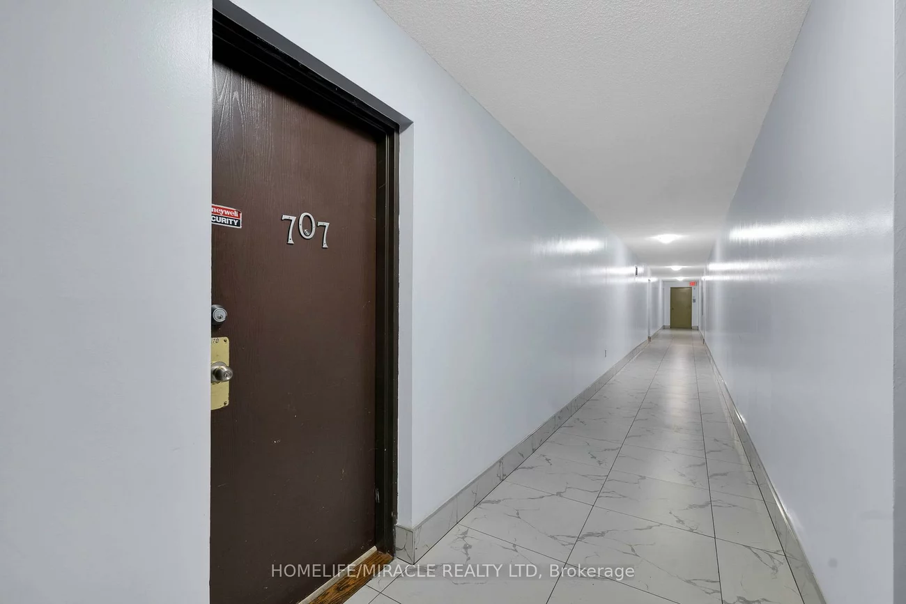 100, Dundalk, Dorset Park, Toronto