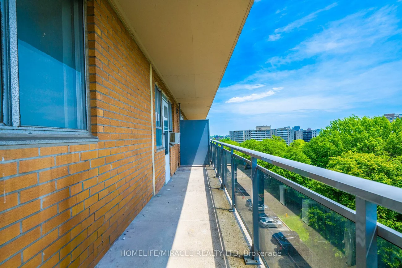 100, Dundalk, Dorset Park, Toronto
