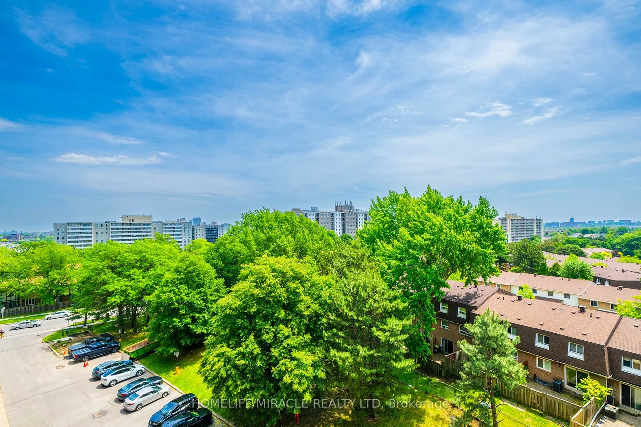 100, Dundalk, Dorset Park, Toronto