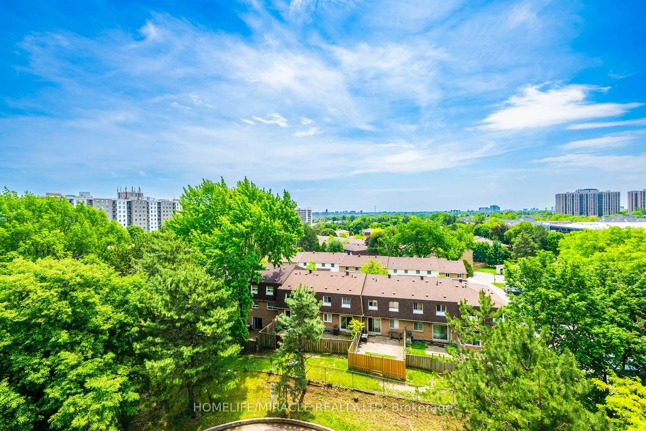 100, Dundalk, Dorset Park, Toronto