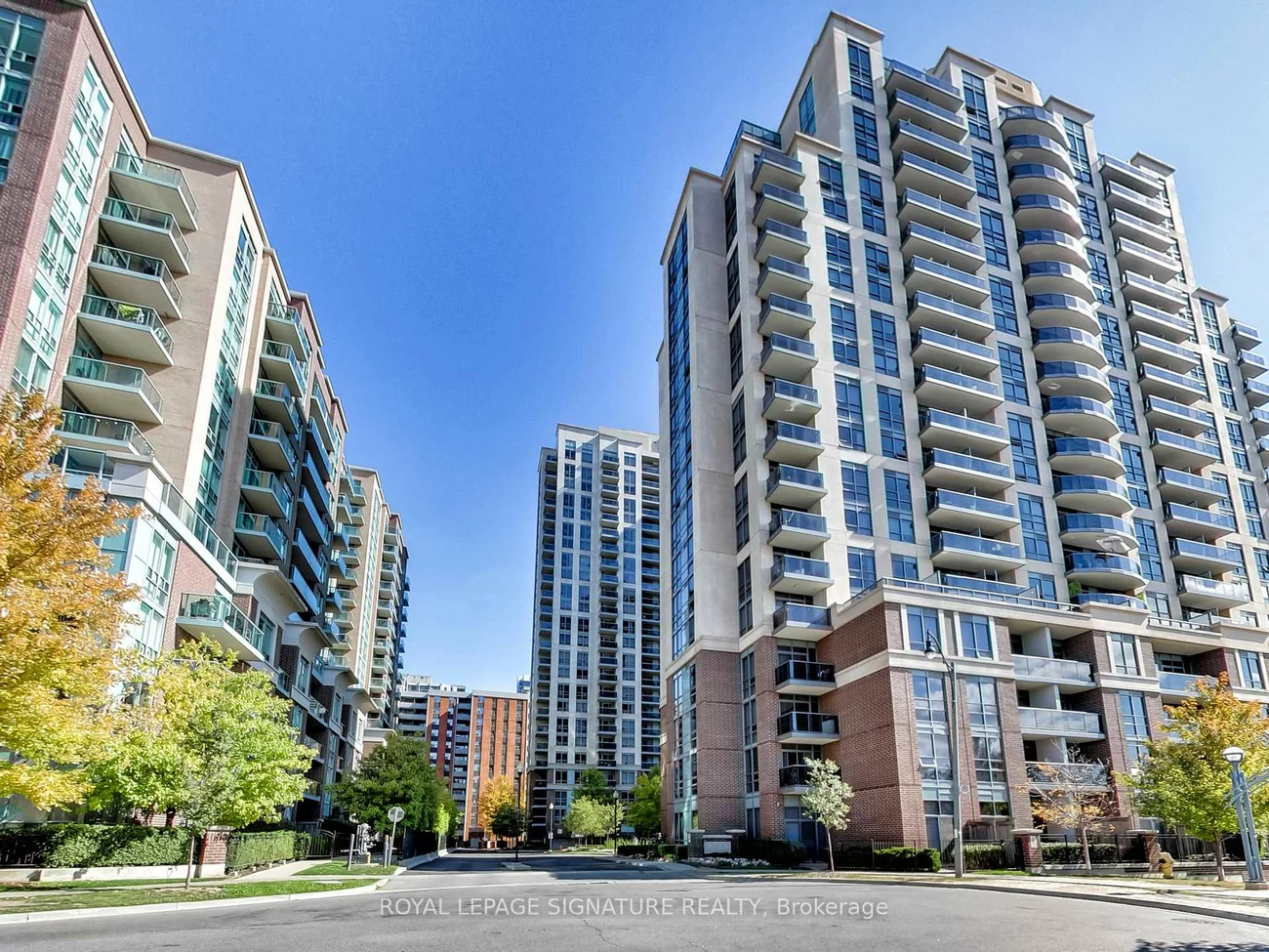 5, Michael Power, Islington-City Centre West, Toronto