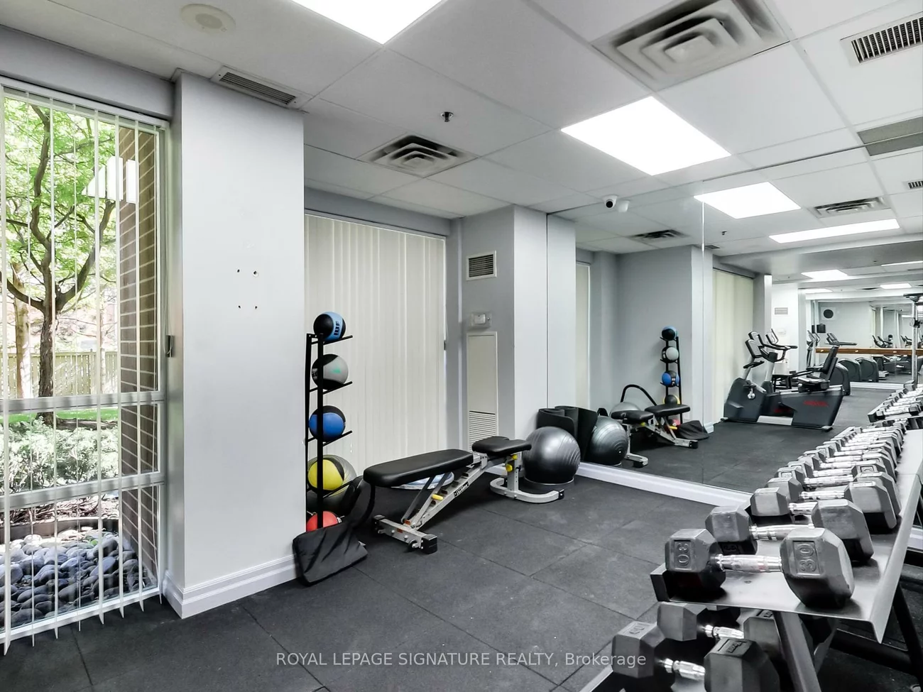 5, Michael Power, Islington-City Centre West, Toronto