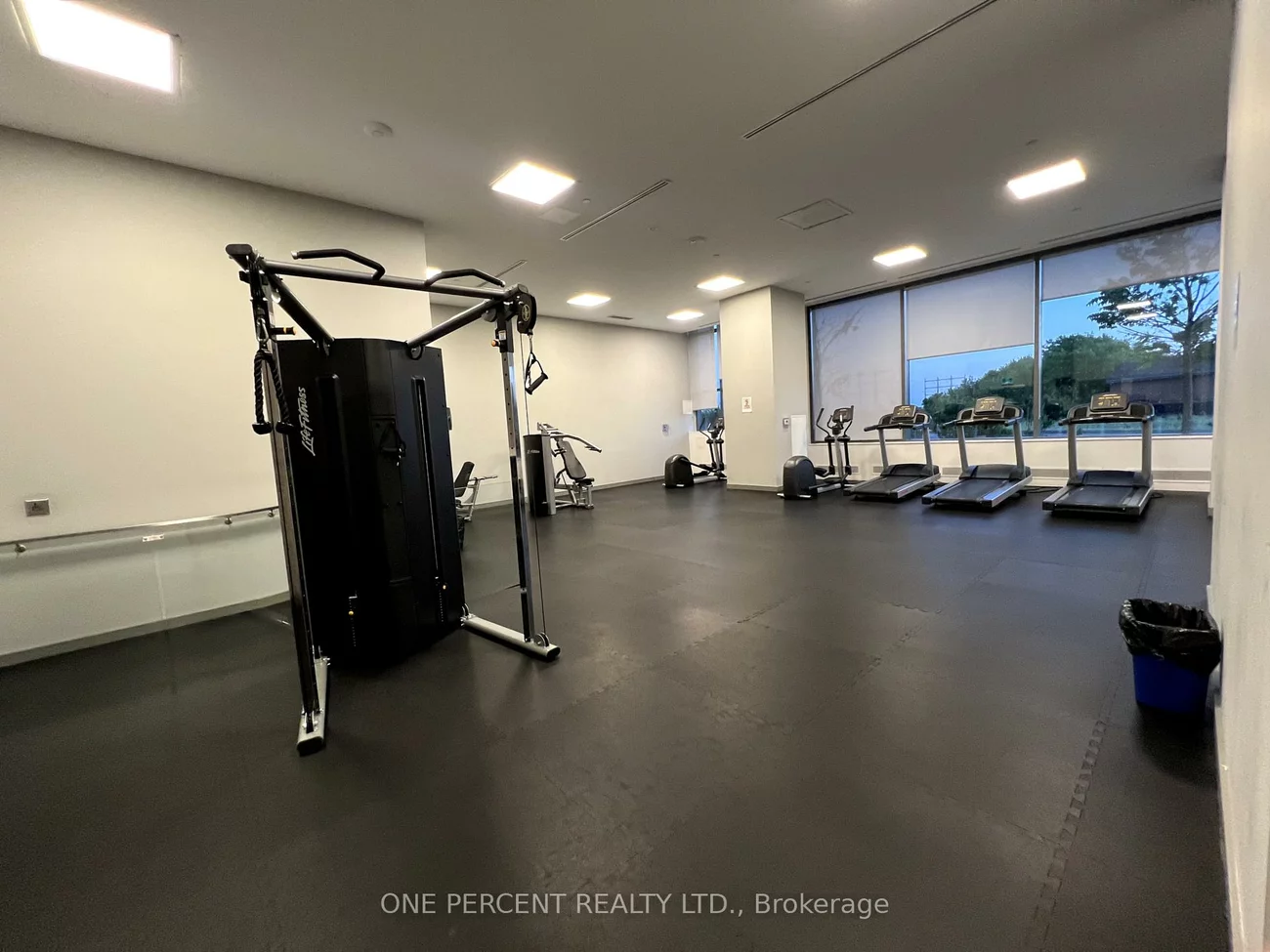 50, Thomas Riley, Islington-City Centre West, Toronto