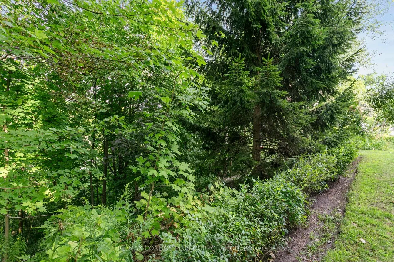 185, Stephen, Stonegate-Queensway, Toronto