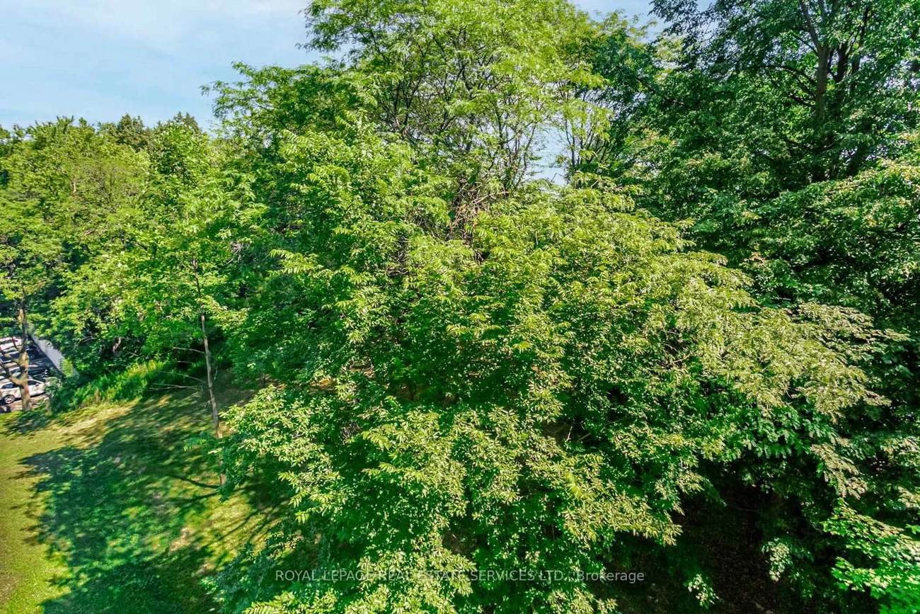 45, Southport, High Park-Swansea, Toronto