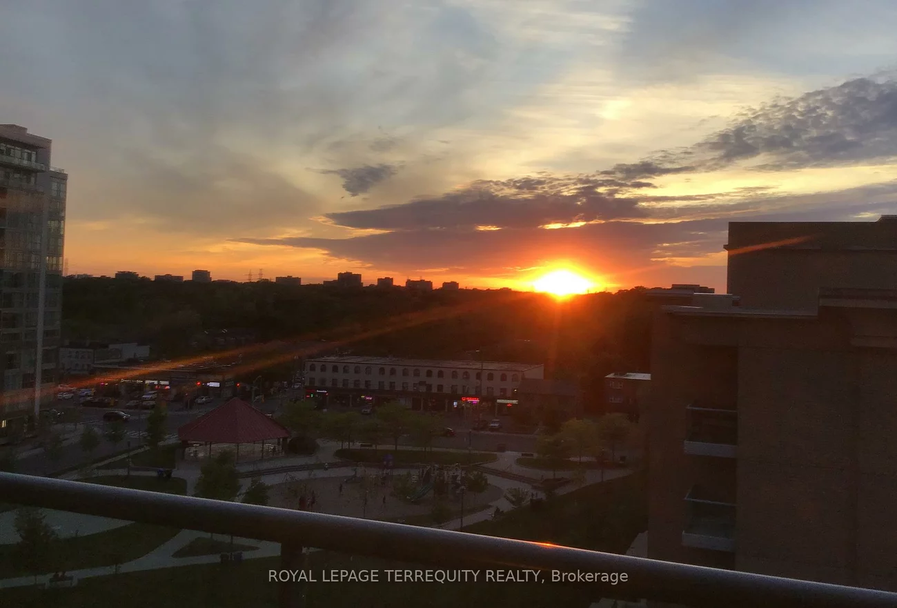 15, Michael Power, Islington-City Centre West, Toronto