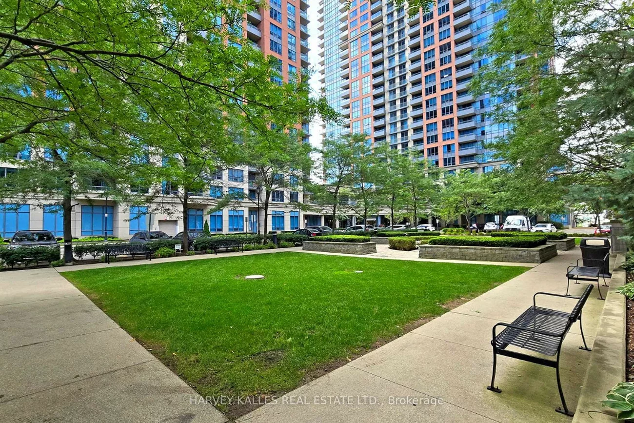 25, Viking, Islington-City Centre West, Toronto