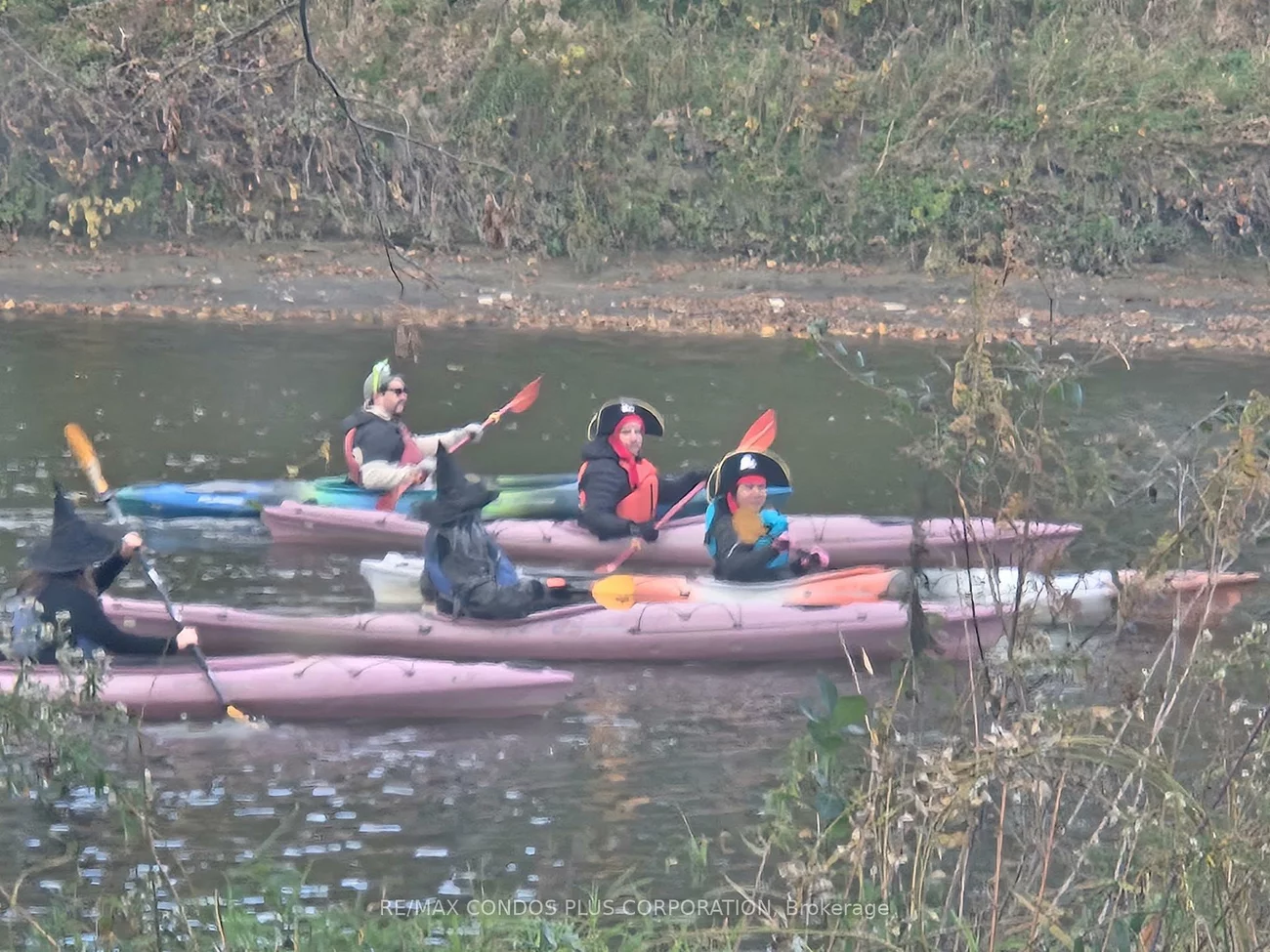 185, Stephen, Stonegate-Queensway, Toronto