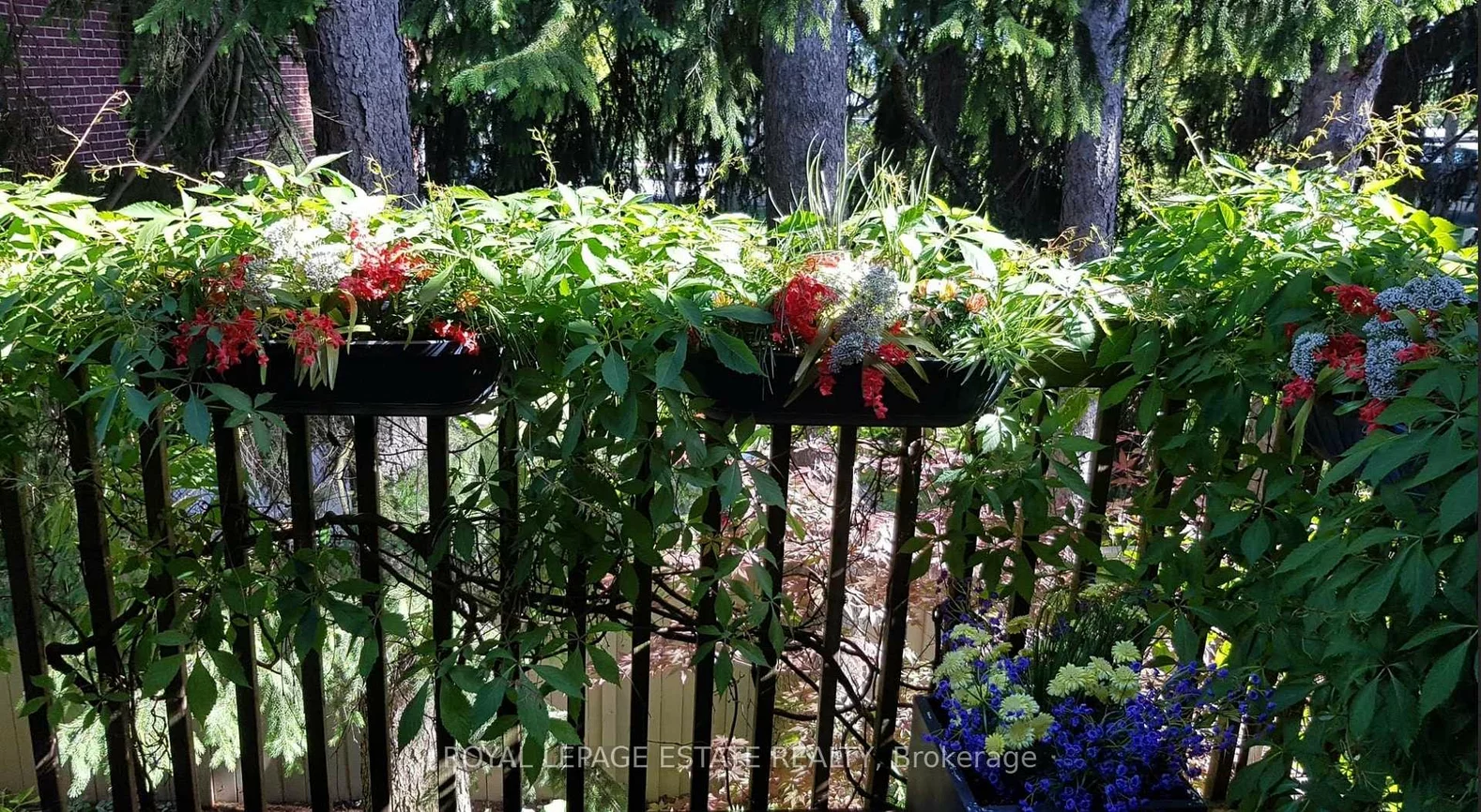 8038, Yonge, Uplands, Vaughan