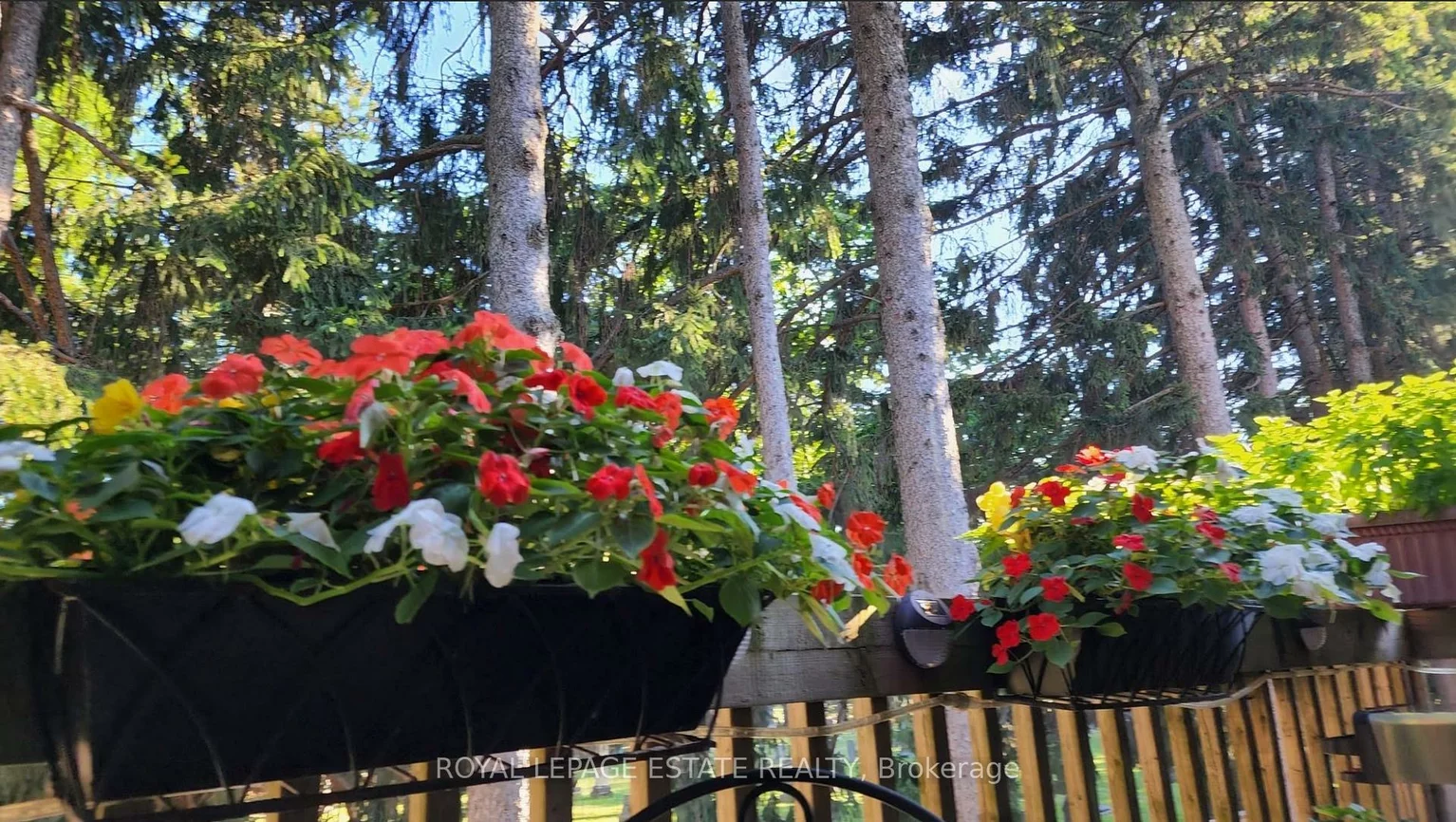 8038, Yonge, Uplands, Vaughan