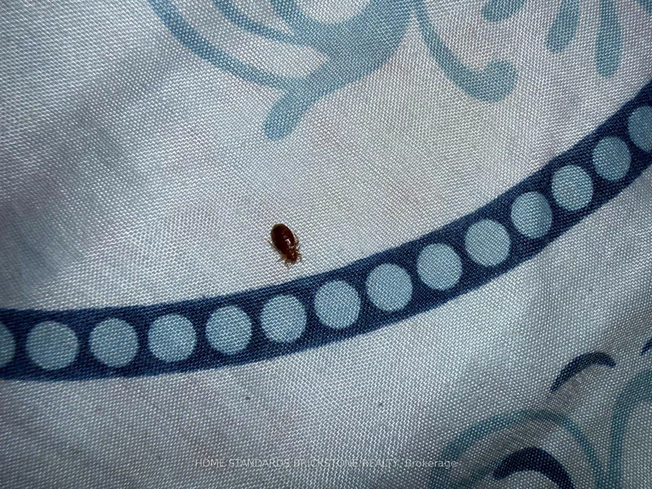 2920, Highway 7, Concord, Vaughan