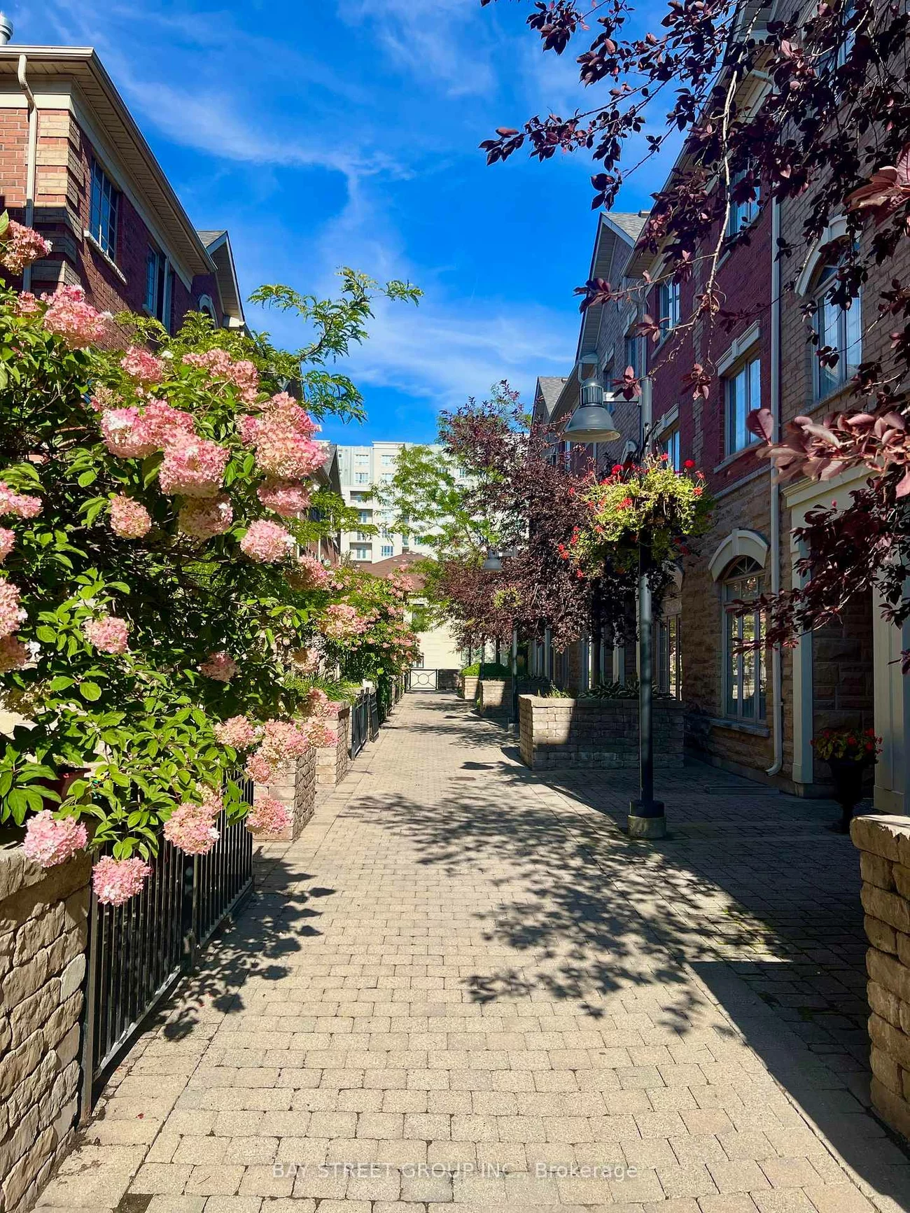8, Brighton, Crestwood-Springfarm-Yorkhill, Vaughan