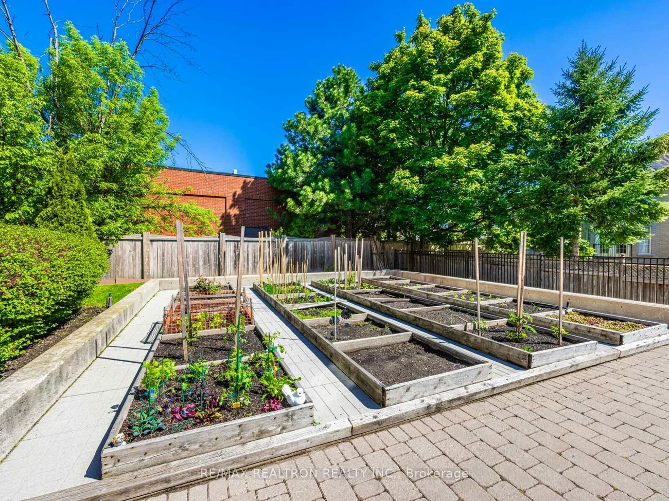 9901, Keele, Maple, Vaughan