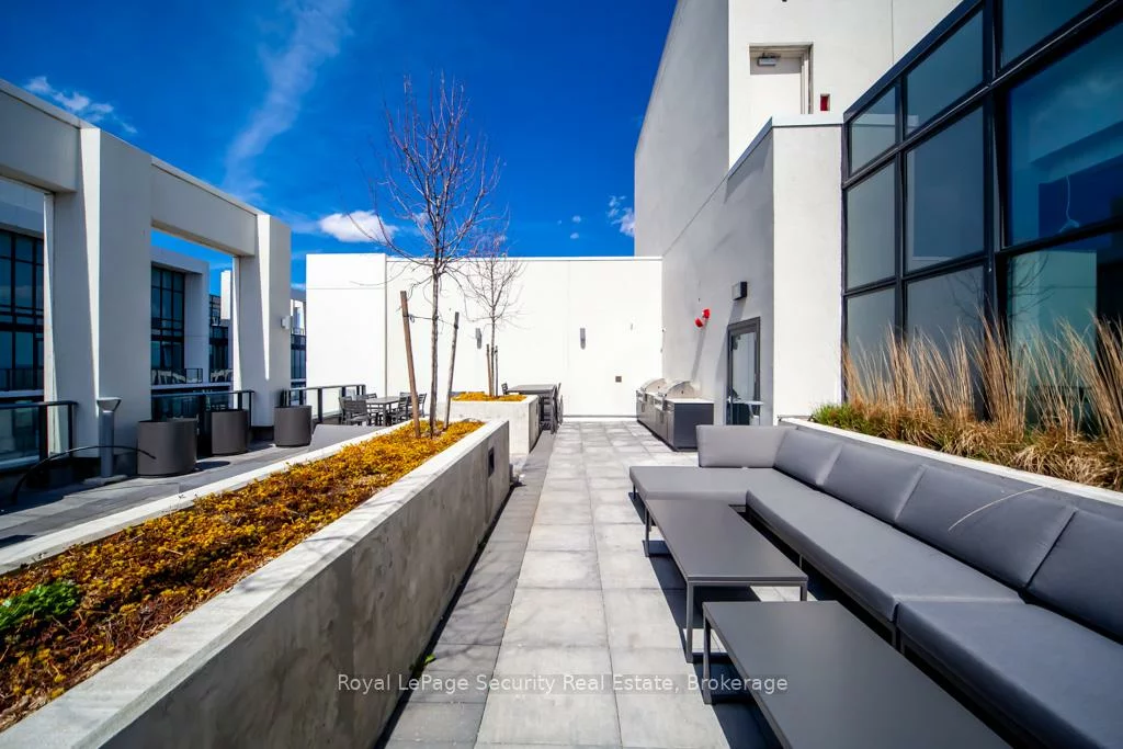 9000, Jane, Concord, Vaughan