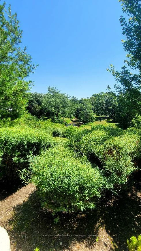 201, Pine Grove, Islington Woods, Vaughan