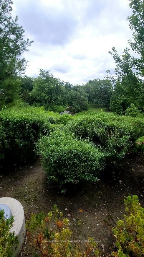 201, Pine Grove, Islington Woods, Vaughan