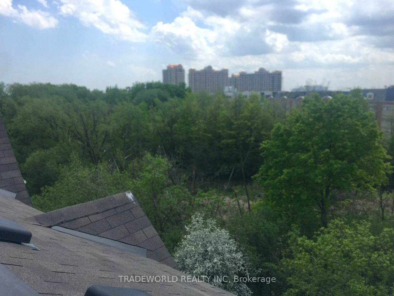 181, Parktree, Maple, Vaughan