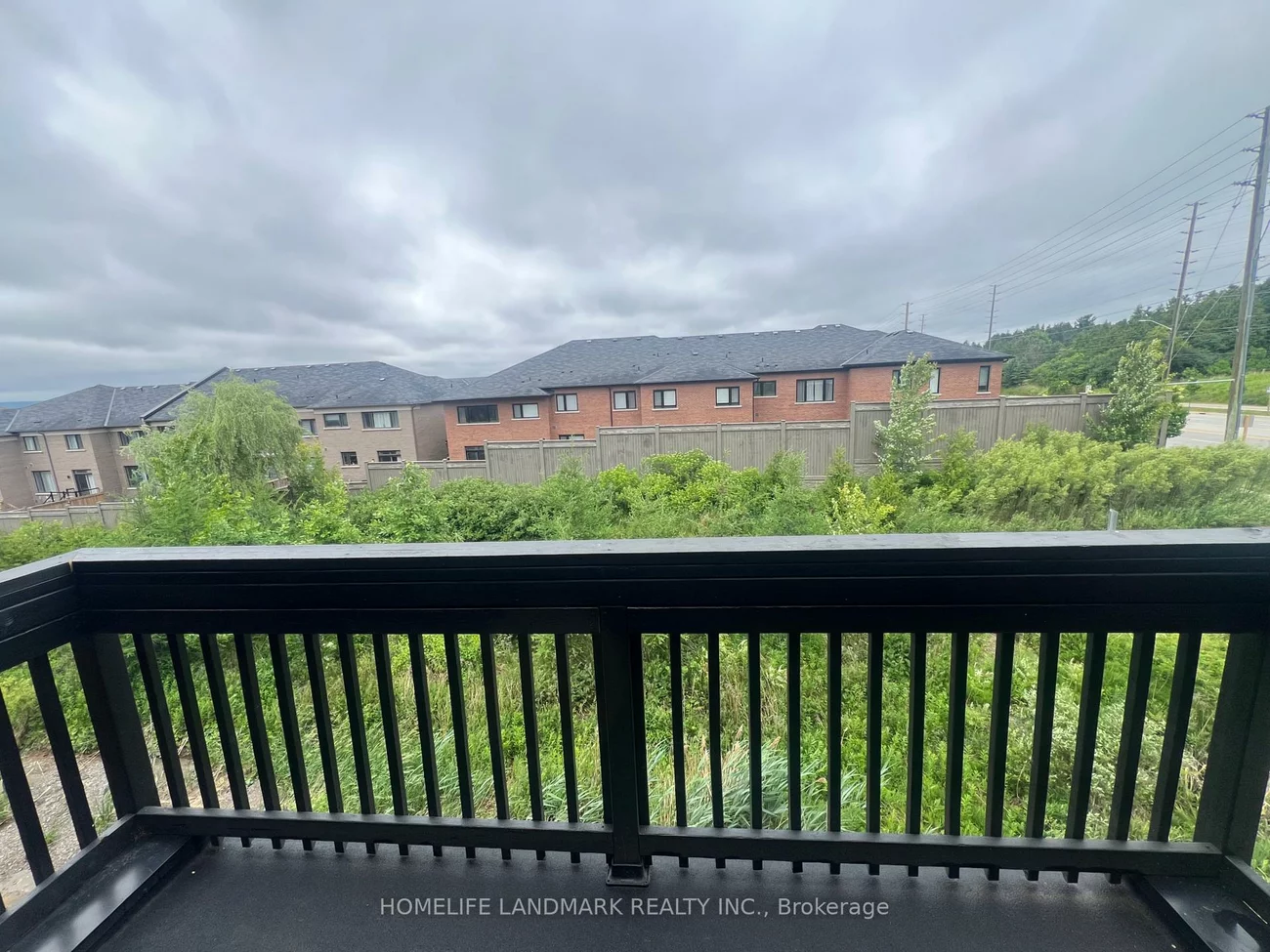 4, Chestnut, Rural Aurora, Aurora