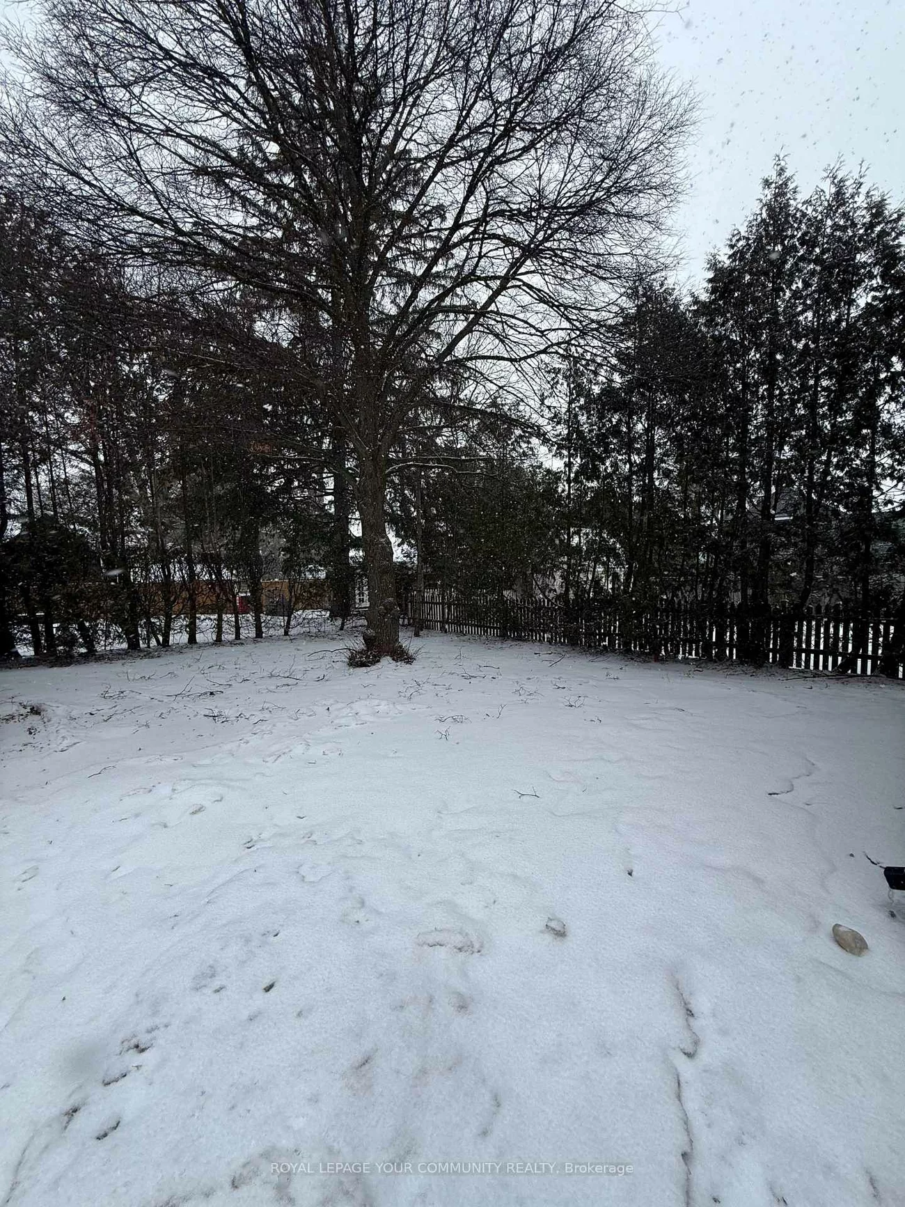 88, Spruce, Aurora Village, Aurora