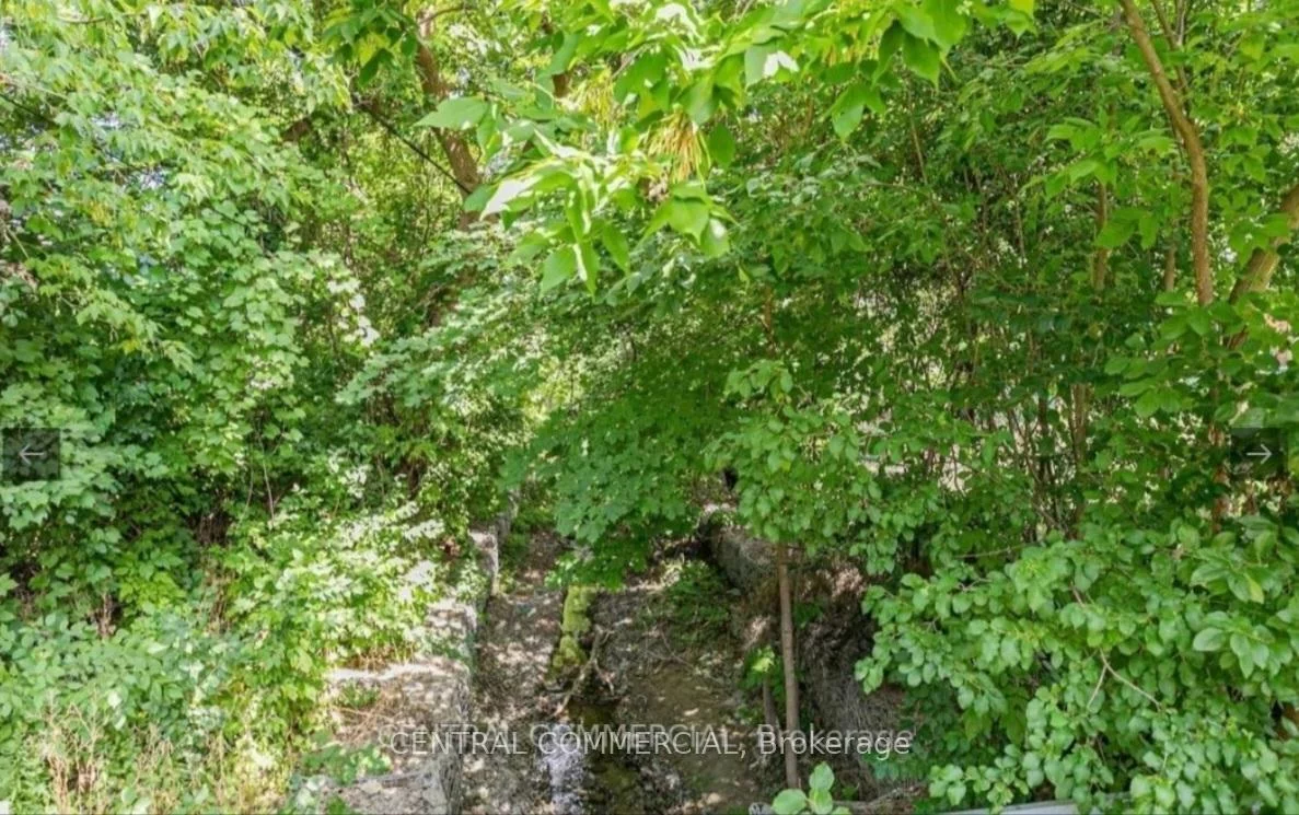 38, Child, Aurora Highlands, Aurora