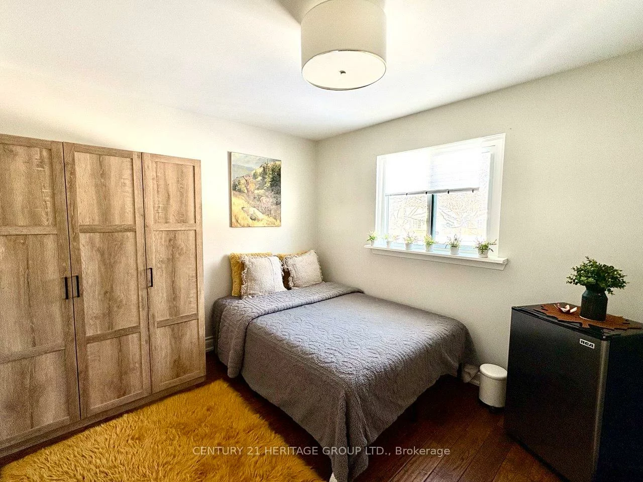 22, Cedar, Aurora Village, Aurora