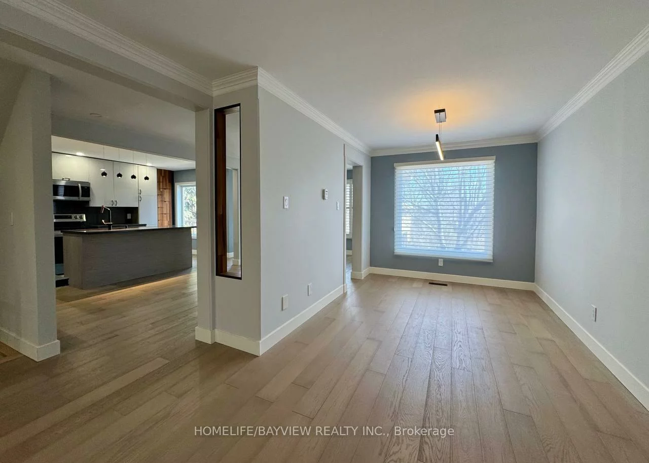 4, Mendys Forest(Main), Hills of St Andrew, Aurora