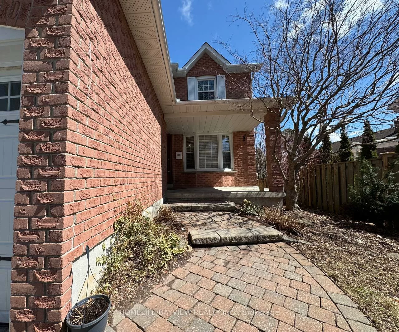 4, Mendys Forest(Main), Hills of St Andrew, Aurora