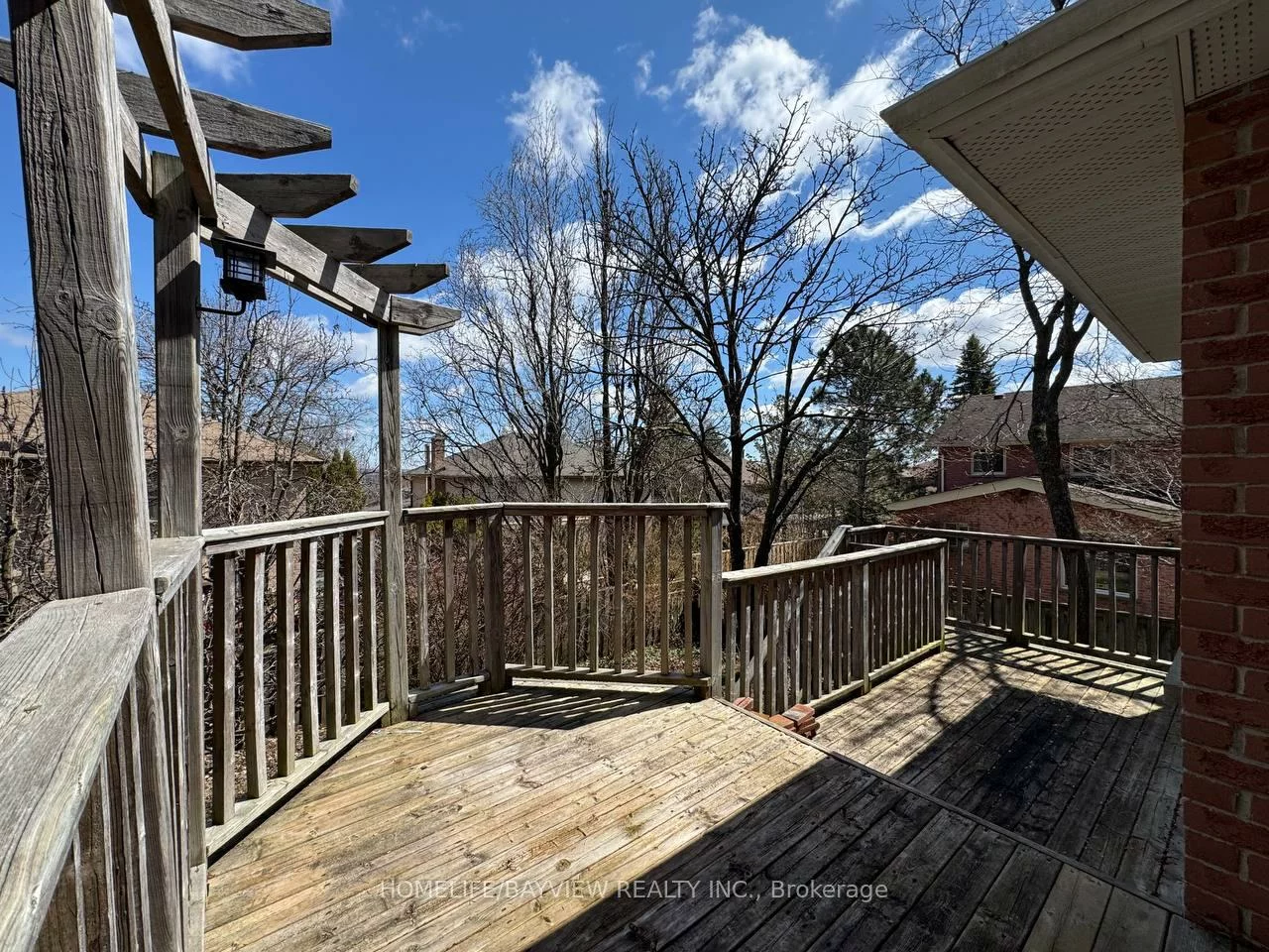 4, Mendys Forest(Main), Hills of St Andrew, Aurora