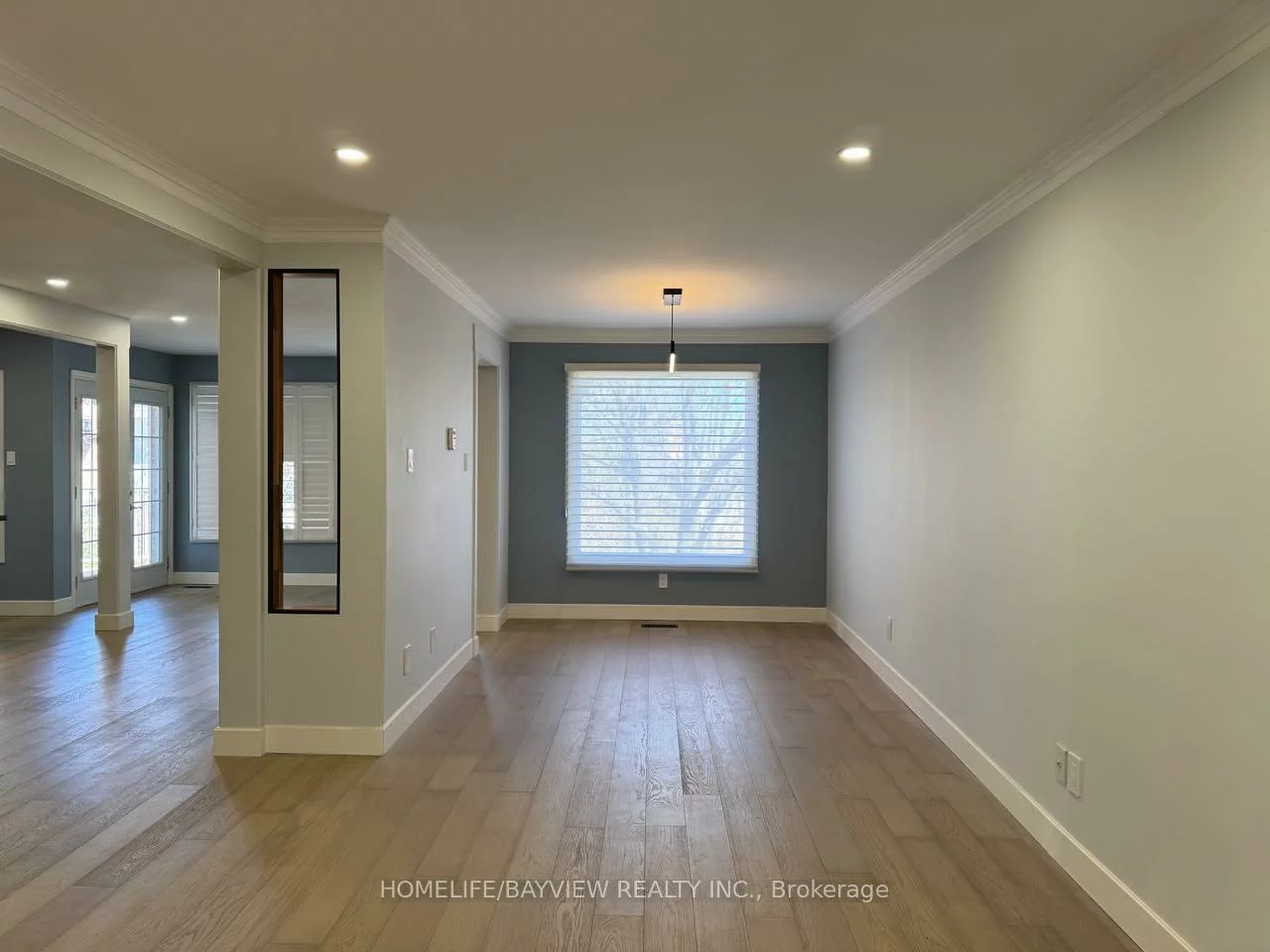 4, Mendys Forest(Main), Hills of St Andrew, Aurora