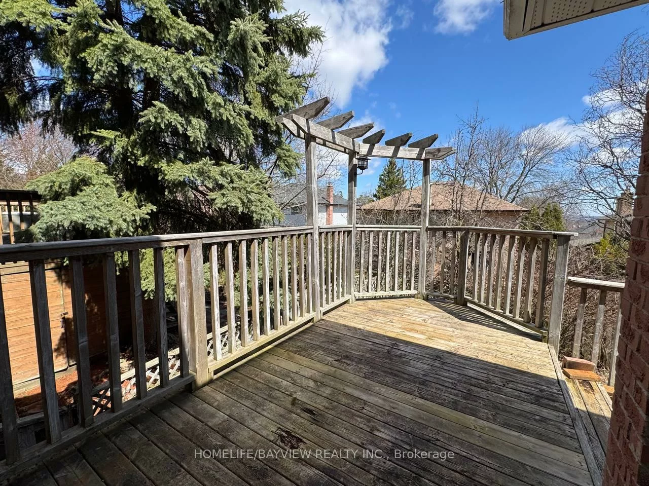 4, Mendys Forest(Main), Hills of St Andrew, Aurora