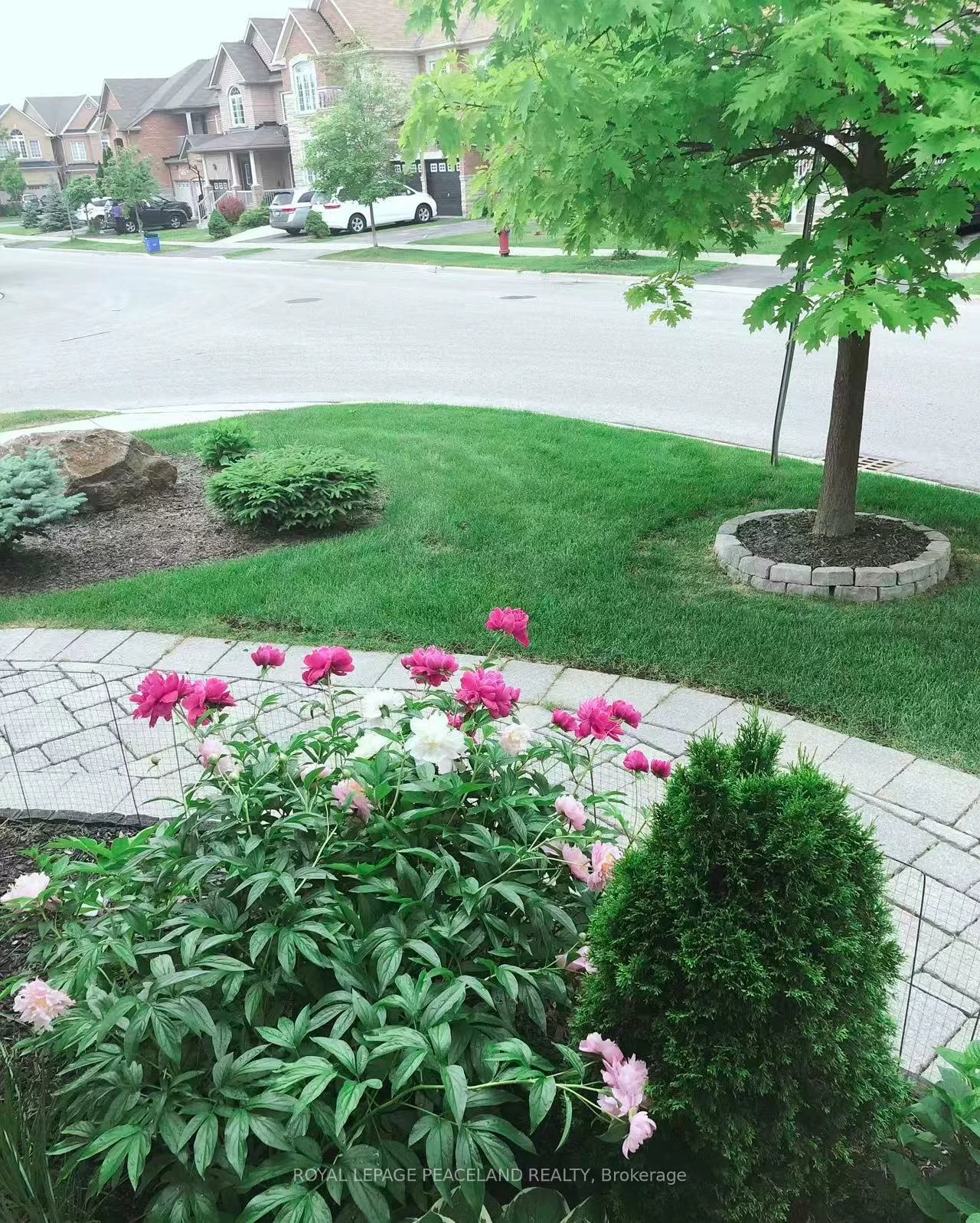 23, Halldorson, Bayview Northeast, Aurora