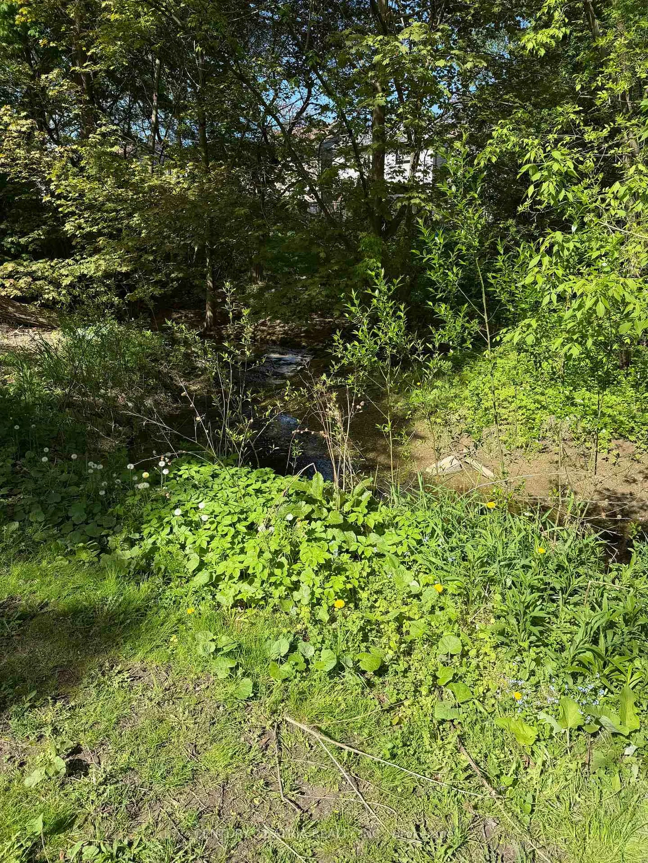 12, Wiles, Aurora Highlands, Aurora