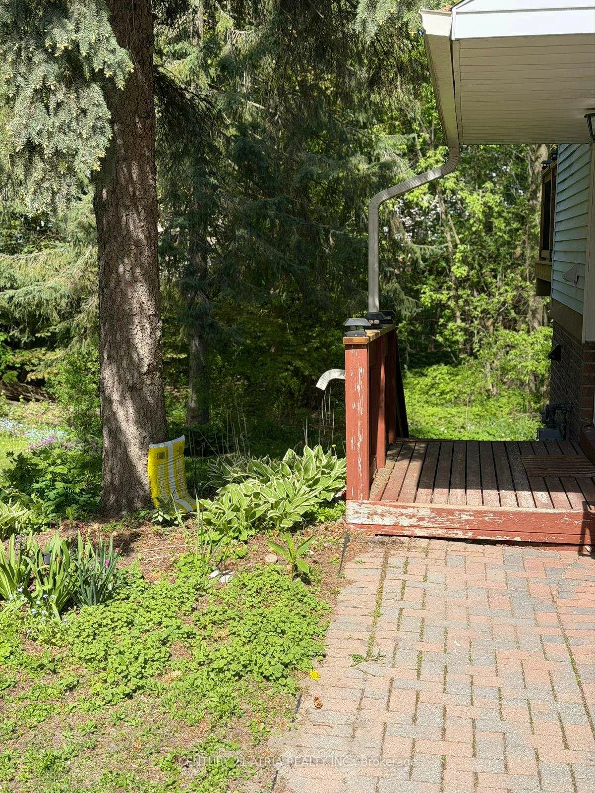 12, Wiles, Aurora Highlands, Aurora