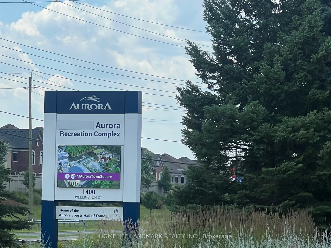 29, Chestnut, Rural Aurora, Aurora