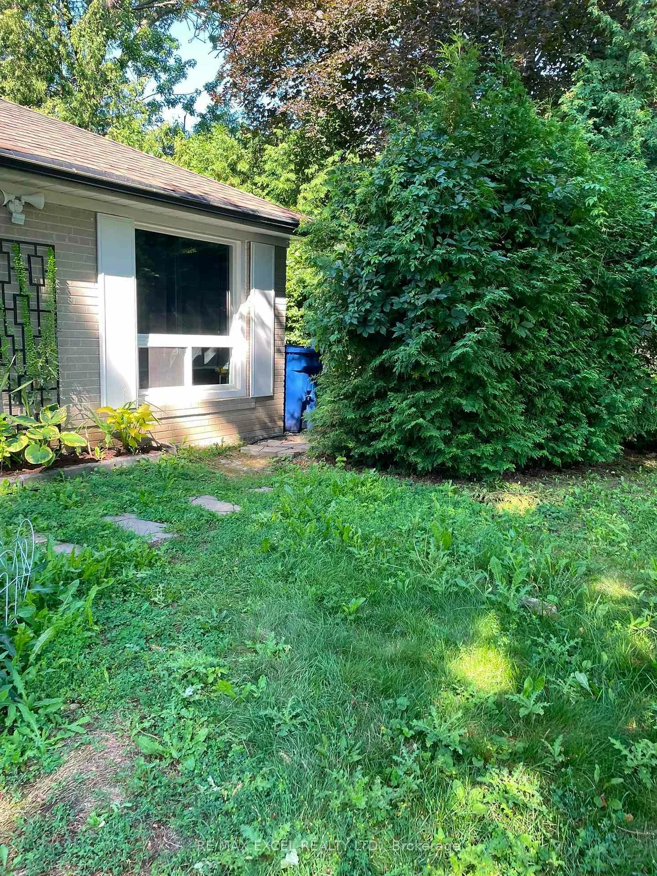 23, Algonquin, Aurora Heights, Aurora