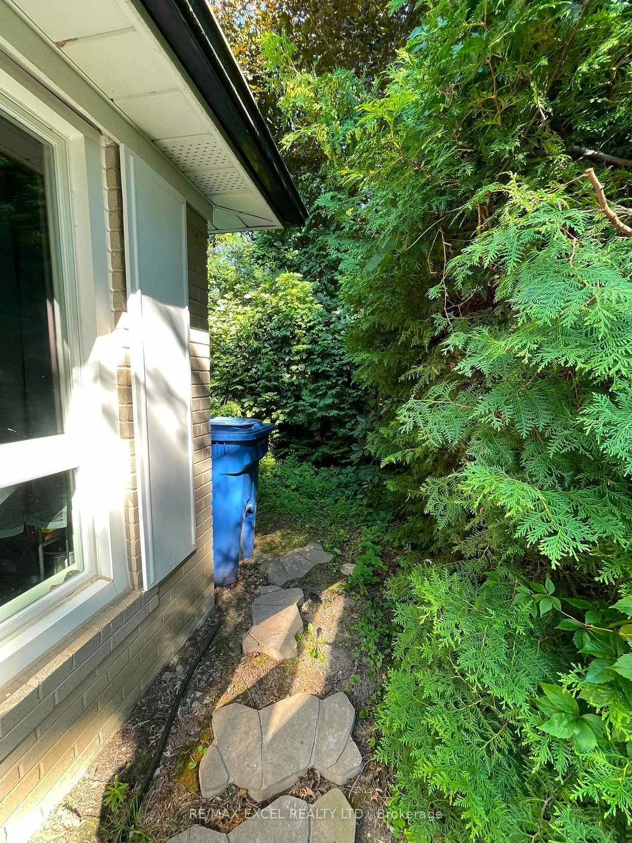 23, Algonquin, Aurora Heights, Aurora