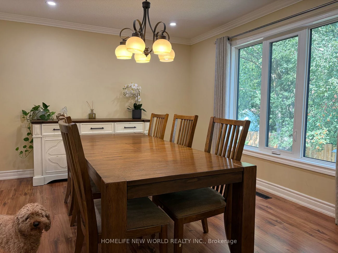 23, Lacey, Aurora Heights, Aurora