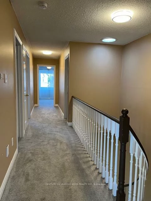 180, Stone, Aurora Grove, Aurora